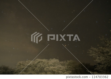 北斗市竹川町真原櫻花樹上的天蠍座 114783362