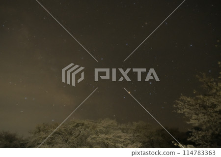 北斗市竹川町真原櫻花樹上的天蠍座 114783363