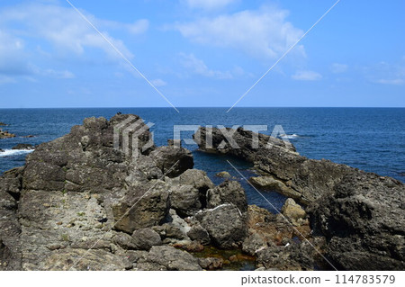 莊內海岸的岩石景觀 莊內海岸的岩石景觀 114783579