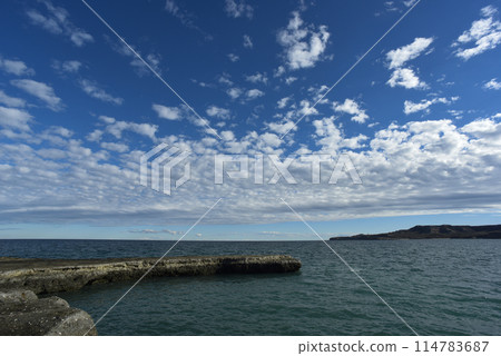 Coastal landscape with cliffs in Peninsula Valdes, World Heritage Site, Patagonia Argentina 114783687