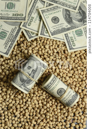 Dollars banknotes and coins and soy beans,oleaginous commoditi value concept. 114784008