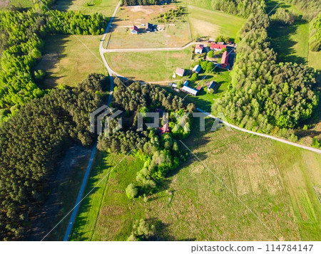 beautiful artificial lake in green forest, serene fishing pond and swamp, fishery and hunting industry, aerial top view, Osowek Poland 114784147