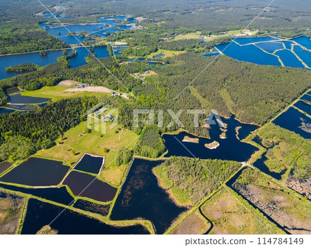 beautiful artificial lake in green forest, serene fishing pond and swamp, fishery and hunting industry, aerial top view, Osowek Poland 114784149
