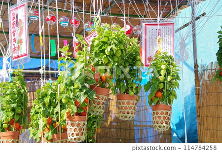 奇克斯市 奇克斯市 114784258