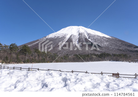 Snow-capped Mt. Daisen (from near Daisen Makiba Milk no Sato) 114784561