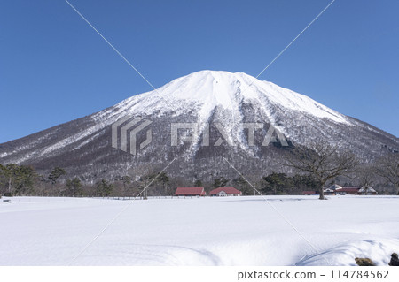 Snow-capped Mt. Daisen (from near Daisen Makiba Milk no Sato) 114784562