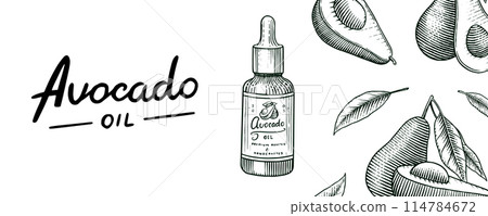 Tropical avocado. Set of evergreen fruit plant. Cosmetics for skin care. Organic oil in the bottle 114784672