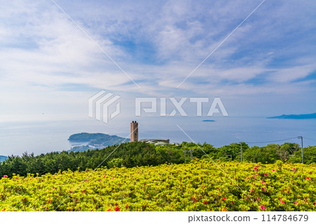 (Kanagawa) Yugawara Hoshigayama Park Satsuki no Tomo (Kanagawa) Yugawara Hoshigayama Park Satsuki no Tomo 114784679