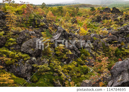 秋天的鬼押出[東區嬬戀村] 114784695