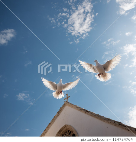 教堂和鴿子 114784764