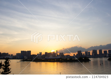 View of the city at dusk from Odaiba 114784923