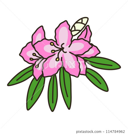 杜鵑 杜鵑 114784962