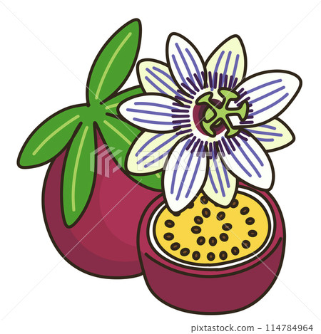 passion fruit passion fruit 114784964