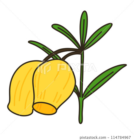 雷霆索尼婭 114784967