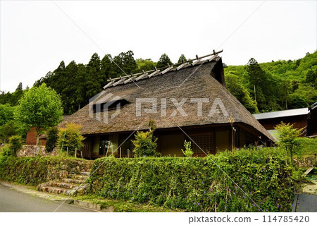 有茅草屋的風景 114785420