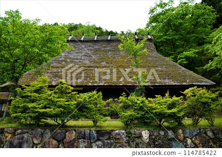 Scenery of a thatched roof house surrounded by fresh greenery 114785422
