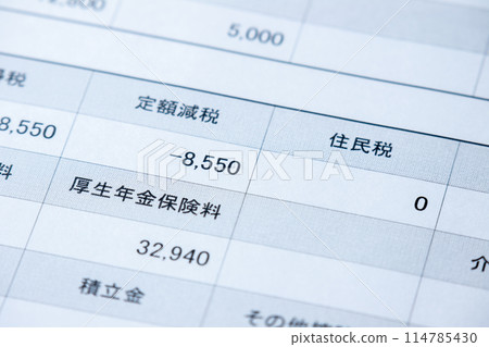 上傳顯示固定減稅金額的薪資單。 上傳顯示固定減稅金額的薪資單。 114785430
