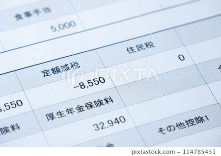 上傳顯示固定減稅金額的薪資單。 上傳顯示固定減稅金額的薪資單。 114785431