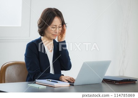 Middle-aged business woman working on a laptop 114785869