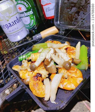 Today's camping meal 114786080