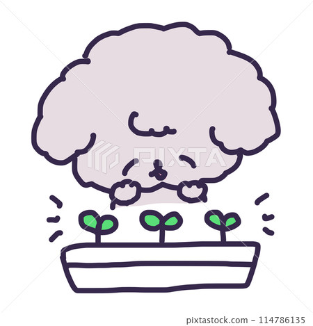 Illustration of sprouted two leaves in a planter and a cute toy poodle puppy 114786135