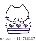 Illustration of a cute white colored kitten with sprouted buds in a planter 114786137