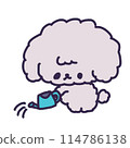 Illustration of a cute toy poodle puppy watering a flower with a watering can 114786138