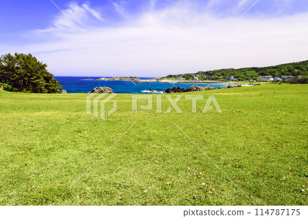 Natural grass field at Tanesashi Beach 114787175