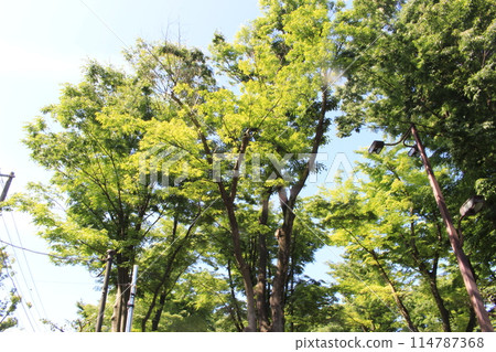 我繞著大倉運動場走了一圈。 114787368