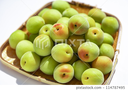 Harvested green plums, plum fruit Harvested green plums, plum fruit 114787495