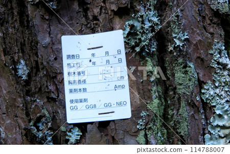 Certificate of application of pine tree wilt prevention trunk injection agent, attached example Certificate of application of pine tree wilt prevention trunk injection agent, attached example 114788007