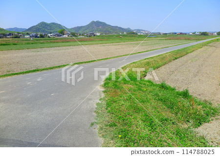 Spring Satoyama, a paved road in the fields Spring Satoyama, a paved road in the fields 114788025