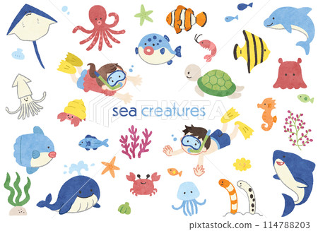 Cute sea creatures hand drawn illustration set 114788203