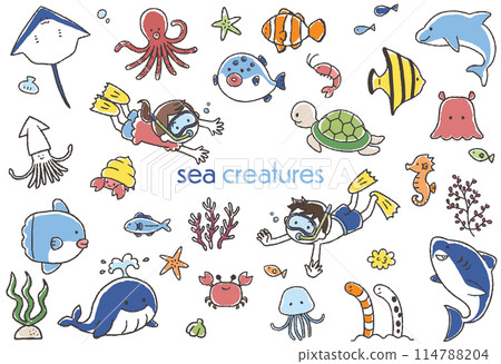 手繪插畫集可愛的海洋生物 114788204