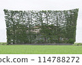 Tsukijimatsu, which stands out against the rice fields, is a traditional culture of the Izumo Plain in Shimane Prefecture 114788272