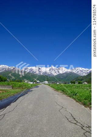 Road to the Alps (Hakuba Village, Nagano Prefecture) 114788574
