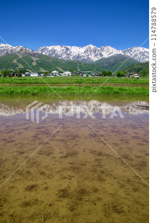 稻田和阿爾卑斯山（長野縣白馬村） 114788579