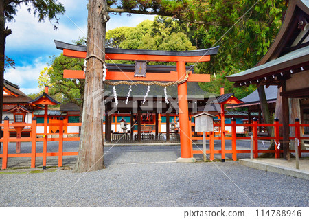 Yoshida Shrine, Main Shrine (Sakyo Ward, Kyoto City) 114788946