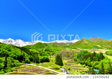Tsugaike Panorama Bridge / View of the Hakuba Sanzan area from Matsuzawa (Otari Village, Nagano Prefecture) [May 2024] 114789262