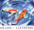 游泳鯉魚 114789366