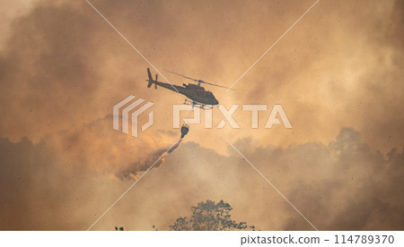 Fire fighting helicopter carry water bucket to extinguish the forest fire. 114789370