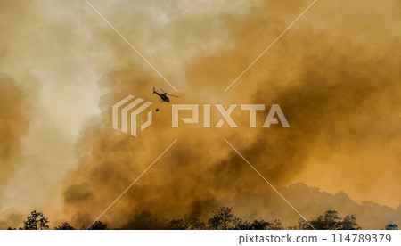 Fire fighting helicopter carry water bucket to extinguish the forest fire 114789379