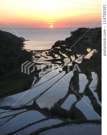 Sunset in the rice terrace 114789381