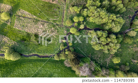 Aerial view of grassy field, trees, and river in natural landscape 114789395