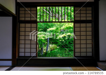 Genkoan's Window of Confusion 114789535