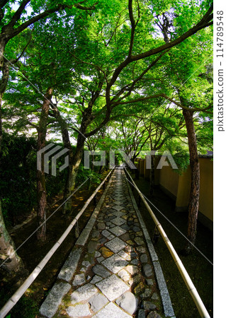 高峰光悅寺的參觀路線 114789548