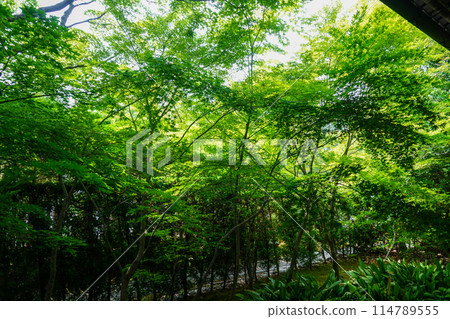 Genkoan Garden Genkoan Garden 114789555