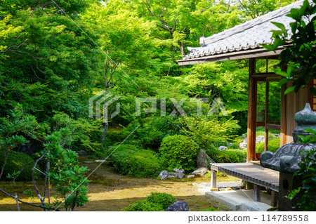 源光庵庭園 源光庵庭園 114789558