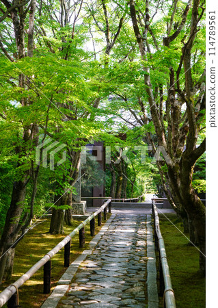 高峰光越寺 高峰光越寺 114789561