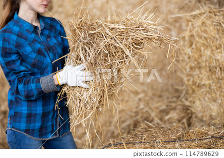 Portrait of positive female farmer with bunch of hay in her hands in the backyard of farm Portrait of positive female farmer with bunch of hay in her hands in the backyard of farm 114789629